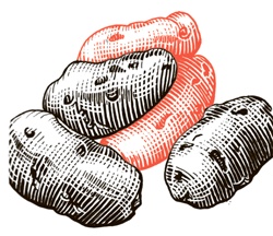 Иллюстрация к книге — Сам себе шеф-повар. Как научиться готовить без рецептов [i_076.jpg]