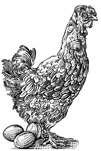 Иллюстрация к книге — Сам себе шеф-повар. Как научиться готовить без рецептов [i_119.jpg]