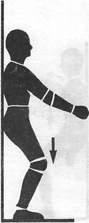 Иллюстрация к книге — Здоровая спина за 10 минут в день [i_026.jpg]