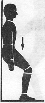 Иллюстрация к книге — Здоровая спина за 10 минут в день [i_027.jpg]