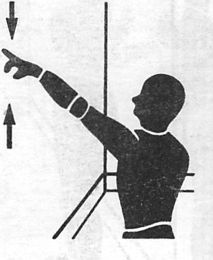 Иллюстрация к книге — Здоровая спина за 10 минут в день [i_037.jpg]