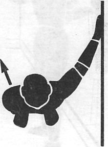 Иллюстрация к книге — Здоровая спина за 10 минут в день [i_039.jpg]