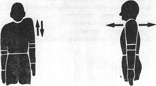 Иллюстрация к книге — Здоровая спина за 10 минут в день [i_055.jpg]