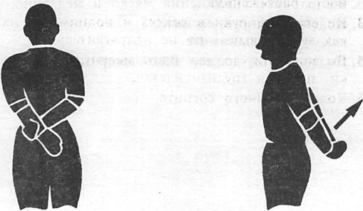 Иллюстрация к книге — Здоровая спина за 10 минут в день [i_056.jpg]