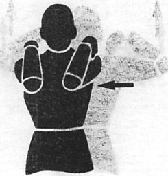 Иллюстрация к книге — Здоровая спина за 10 минут в день [i_061.jpg]