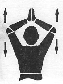 Иллюстрация к книге — Здоровая спина за 10 минут в день [i_064.jpg]