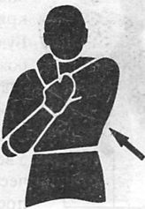 Иллюстрация к книге — Здоровая спина за 10 минут в день [i_070.jpg]