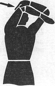 Иллюстрация к книге — Здоровая спина за 10 минут в день [i_074.jpg]