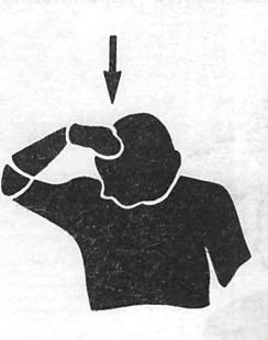 Иллюстрация к книге — Здоровая спина за 10 минут в день [i_077.jpg]