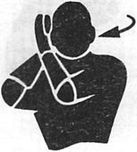 Иллюстрация к книге — Здоровая спина за 10 минут в день [i_084.jpg]