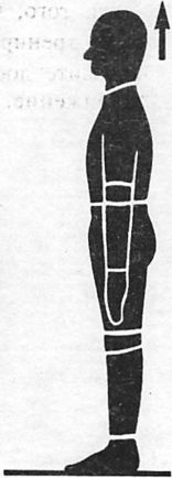 Иллюстрация к книге — Здоровая спина за 10 минут в день [i_085.jpg]