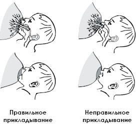 Иллюстрация к книге — Питание ребенка от рождения до трех лет [autogen_ebook_id0.jpg]