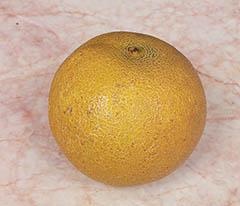 Иллюстрация к книге — Кулинарная коллекция. Шаг за шагом [desserts_42_1.jpg]