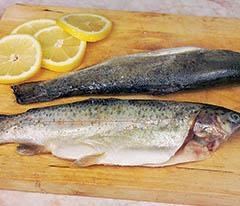 Иллюстрация к книге — Кулинарная коллекция. Шаг за шагом [hot_45_1.jpg]