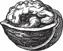 Иллюстрация к книге — Обед для Льва. Кулинарная книга Софьи Андреевны Толстой [_14.jpg]