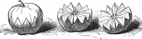 Иллюстрация к книге — Обед для Льва. Кулинарная книга Софьи Андреевны Толстой [_36.jpg]