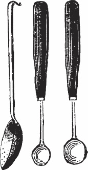 Иллюстрация к книге — Обед для Льва. Кулинарная книга Софьи Андреевны Толстой [_57.jpg]