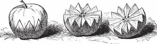 Иллюстрация к книге — Обед для Льва. Кулинарная книга Софьи Андреевны Толстой [_91.jpg]