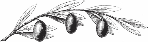 Иллюстрация к книге — Обед для Льва. Кулинарная книга Софьи Андреевны Толстой [_97.jpg]