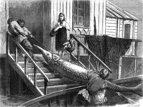 Иллюстрация к книге — Непридуманная история русских продуктов. От Киевской Руси до СССР [i_086.jpg]