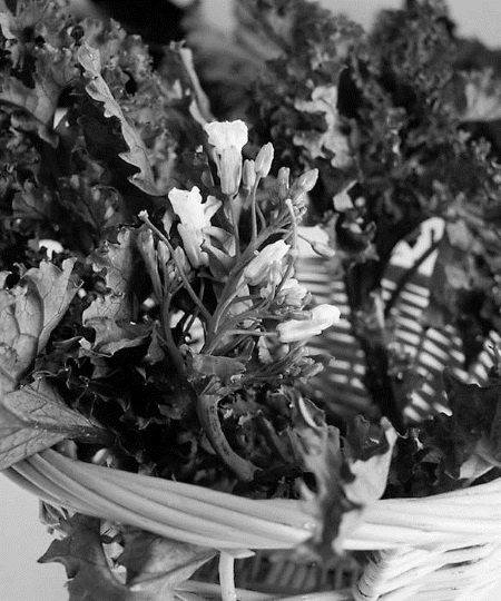 Иллюстрация к книге — Непридуманная история русских продуктов. От Киевской Руси до СССР [i_127.jpg]