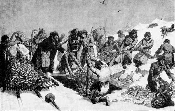 Иллюстрация к книге — Непридуманная история русских продуктов. От Киевской Руси до СССР [i_157.jpg]