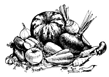 Иллюстрация к книге — Энциклопедия консервирования [autogen_ebook_id2.jpg]