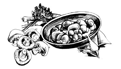 Иллюстрация к книге — Энциклопедия консервирования [autogen_ebook_id3.jpg]