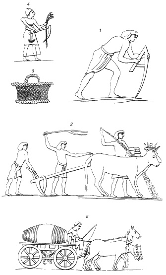 Иллюстрация к книге — Таинства кулинарии. Гастрономическое великолепие Античного мира [i_003.jpg]