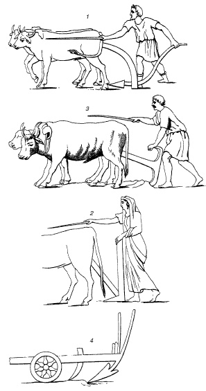 Иллюстрация к книге — Таинства кулинарии. Гастрономическое великолепие Античного мира [i_004.jpg]