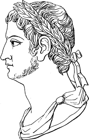 Иллюстрация к книге — Таинства кулинарии. Гастрономическое великолепие Античного мира [i_045.jpg]