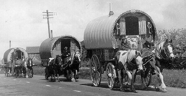 Иллюстрация к книге — Корпоративное племя. Чему антрополог может научить топ-менеджера [i_016.jpg]