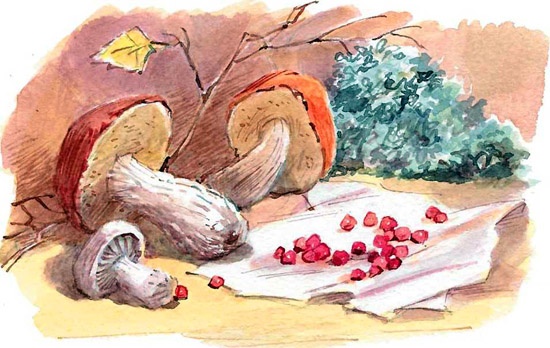 Иллюстрация к книге — Щепкин и дело о ботинках [i_023.jpg]