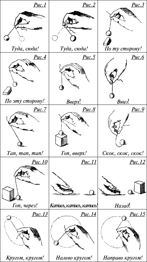 Иллюстрация к книге — Будем жить для своих детей [_165.jpg]