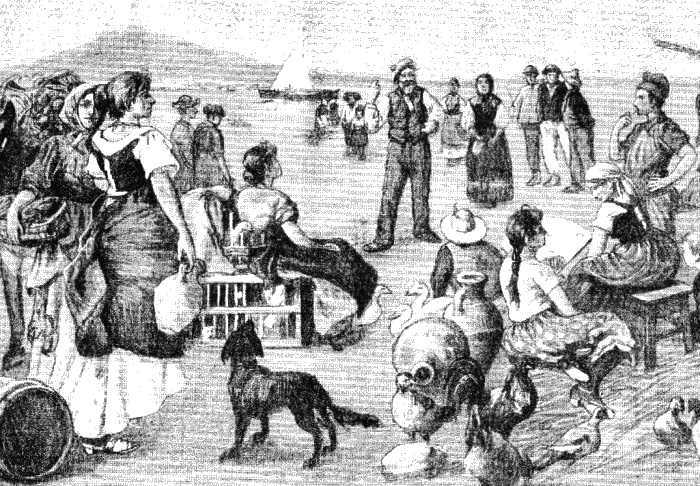 Иллюстрация к книге — Царство свободного ребенка [_157_1.jpg]