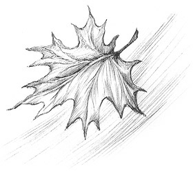 Иллюстрация к книге — Сказки для всей семьи. Арт-педагогика на практике [i_005.jpg]