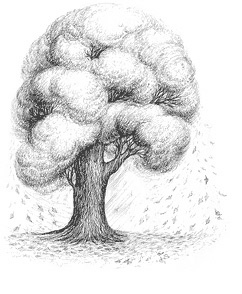 Иллюстрация к книге — Сказки для всей семьи. Арт-педагогика на практике [i_052.jpg]