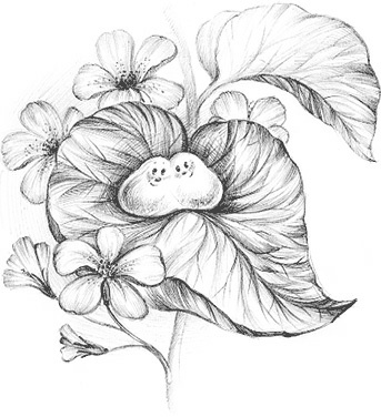 Иллюстрация к книге — Сказки для всей семьи. Арт-педагогика на практике [i_057.jpg]