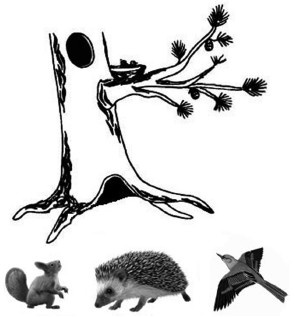 Иллюстрация к книге — Знаю, могу, делаю. Как лучше узнать своего ребенка и вырастить полноценную личность [i_028.jpg]