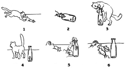 Иллюстрация к книге — Знаю, могу, делаю. Как лучше узнать своего ребенка и вырастить полноценную личность [i_038.jpg]