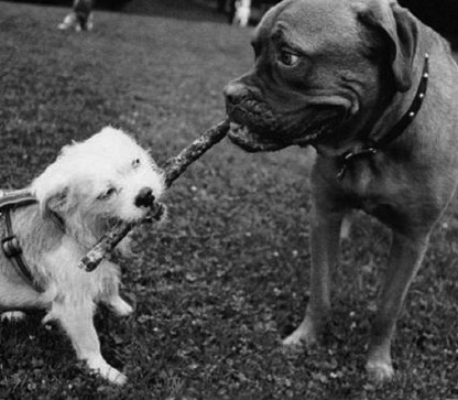 Иллюстрация к книге — Знаю, могу, делаю. Как лучше узнать своего ребенка и вырастить полноценную личность [i_074.jpg]