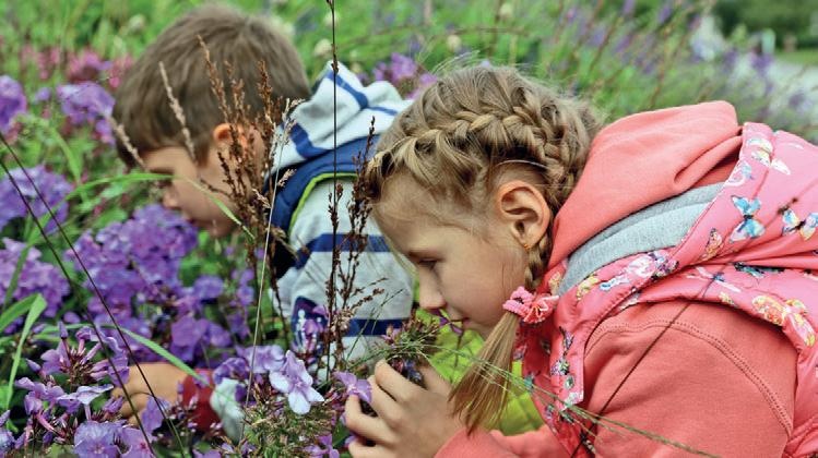 Иллюстрация к книге — Караван счастливых историй [_116_2.jpg]