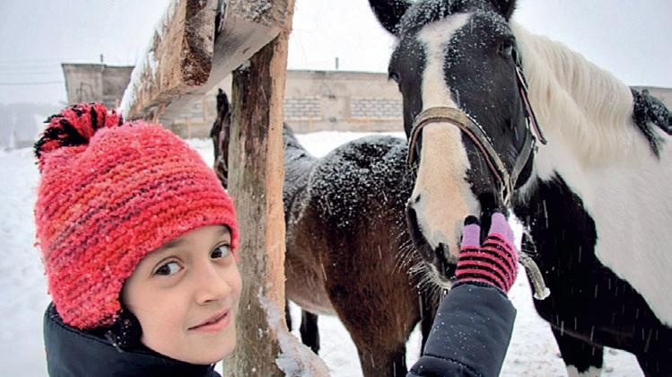 Иллюстрация к книге — Караван счастливых историй [_333_2.jpg]