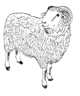 Иллюстрация к книге — Путь лапши. От Китая до Италии [i_034.jpg]