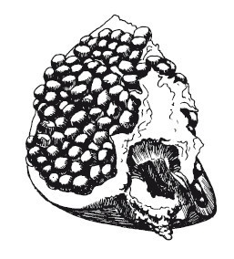 Иллюстрация к книге — Путь лапши. От Китая до Италии [i_037.jpg]