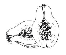 Иллюстрация к книге — Путь лапши. От Китая до Италии [i_047.jpg]