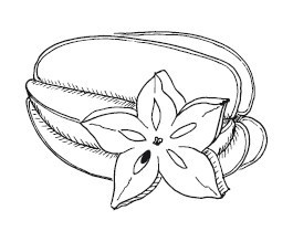 Иллюстрация к книге — Путь лапши. От Китая до Италии [i_049.jpg]