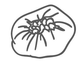 Иллюстрация к книге — Путь лапши. От Китая до Италии [i_061.jpg]