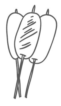 Иллюстрация к книге — Путь лапши. От Китая до Италии [i_063.jpg]