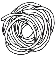 Иллюстрация к книге — Путь лапши. От Китая до Италии [i_078.jpg]